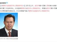 程用文当选武汉市人民政府市长 从政经历介绍