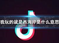 抖音我玩的就是西海岸是什么意思,我玩的就是西海岸意思介绍