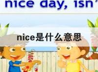 nice是什么意思