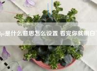 dpi是什么意思怎么设置 看完你就明白了