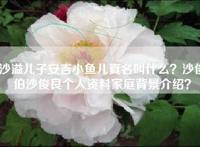 沙溢儿子安吉小鱼儿真名叫什么？沙俊伯沙俊良个人资料家庭背景介绍？