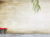 厦大录取通知书里全是大佬 这份通知书实在太有“重量”!