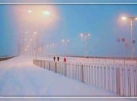 小微企业自述无力再担任何风险 疫情压垮了多少创业者