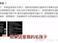 陈乔恩为金毛siri发声 到底发生了什么