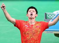 张继科为什么不参加东京奥运会？