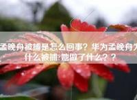 孟晚舟被捕是怎么回事？华为孟晚舟为什么被捕?她做了什么？？