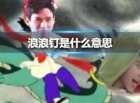 浪浪钉是什么意思