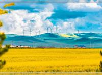 央视大合唱站C位！全红婵被邓超追着求合影，陈伟霆跟她热聊