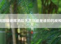 前国脚谢晖酒后失言到底是谁拍的视频？