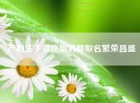 产妇生下四胞胎男婴取名繁荣昌盛