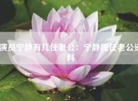 演员宁静有几任老公：宁静现任老公资料