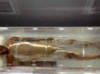 古代第一美男潘安容貌复原图 潘安古尸容貌复原图