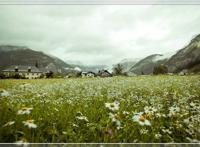 破屋前摆拍！男子为流量拍孩子视频卖惨，被传唤