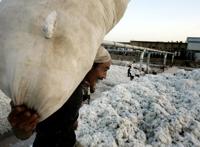 新疆棉花是什么梗,新疆棉花事件始末介绍