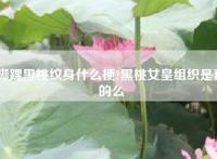 脚踝黑桃纹身什么梗?黑桃女皇组织是真的么