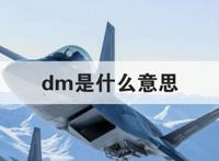 dm是什么意思