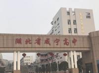 2020年咸宁市高中录取分数线公布（含鄂南高中）