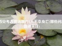 西安考古现场塌方1人不幸身亡(哪些问题值得关注)