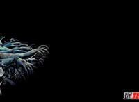 中国十大恐怖之地 封门村真实灵异事件频发（谣言）