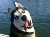 史上最强笑话十则,黄色笑话荤段子老司机都脸红