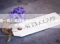 路一鸣已离开央视什么情况为什么离开央视路一鸣个人资料