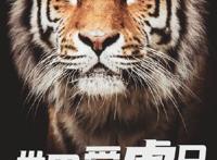 全球野生虎仅剩约4000只 世界上有哪些种类的老虎已经灭绝了