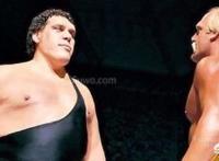 WWE历史上都有几代台柱？都是谁当上了？