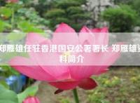 郑雁雄任驻香港国安公署署长 郑雁雄资料简介