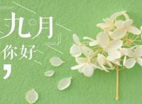 九月第一天朋友圈文案 九月你好的唯美句子 九月你好文案