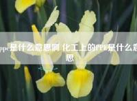 ppe是什么意思啊 化工上的PPE是什么意思