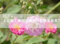 《征服》里刘华强为什么要杀吴天？