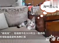 袁花花无法陪袁老听汇报了 袁花花是谁【图】