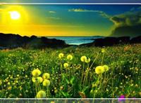 东航飞行事故调查初步报告 飞机失事原因是什么？