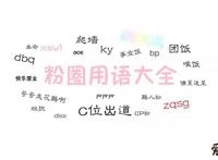 饭圈用语repo是什么意思 原来竟是为了爱豆所做的疯狂事