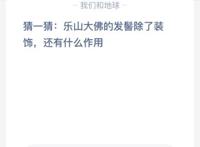 猜一猜:乐山大佛的发髻除了装饰. 还有什么作用？