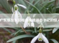 广东爆出东莞樟木头镇镇委书记的惊人内幕