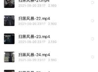 扫黑风暴28集流出版本扫黑风暴泄露版 扫黑风暴送审全集......