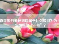 香港警务处长到底属于什么级别？为什么都叫他“一哥”？