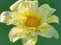 史上最强笑话十则,开心短笑话瞬间让人笑喷