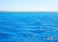 为什么要叫红海行动 揭秘整个案件的发生地