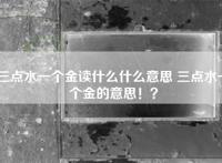 三点水一个金读什么什么意思 三点水一个金的意思！？