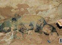 盘点网传5大僵尸事件 95年成都僵尸事件等（皆是谣传）