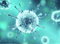 31省区市无新增本土确诊病例(31省区市疫情最新消息)