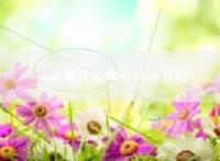 okady是什么牌子 okady介绍