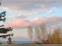 台湾百亿富豪孙道存去世 死因是什么？