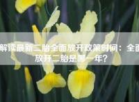 解读最新二胎全面放开政策时间：全面放开二胎是哪一年？