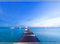 31省份新增本土“1494 9791” 揭最新确诊病例数据