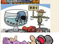 郧西县委书记，放出权力查清公款喝死干部问题