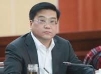 合肥市长张庆军错过的自救机会