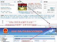 网站名称为：西奴揭秘